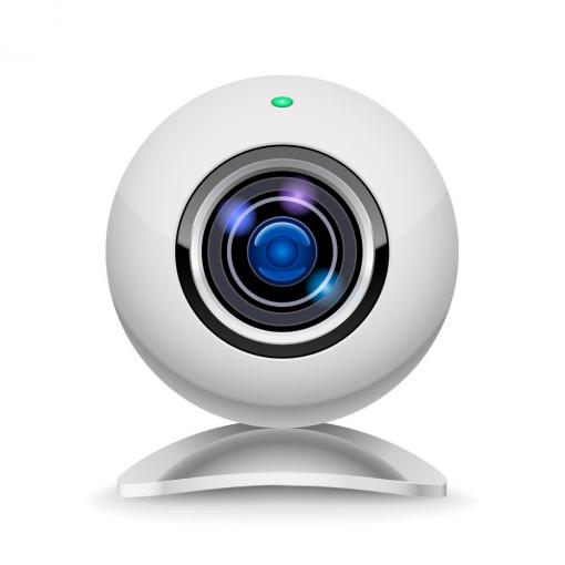 Devon webcams