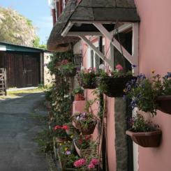 Hanging Baskets - Bovey Tracey