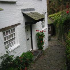 Clovelly cottage - flowers and steps