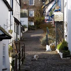 View up the Hill - Clovelly