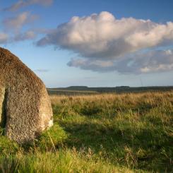 Dartmoor Stone