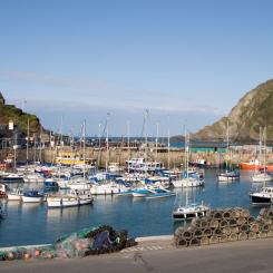 Ilfracombe Harbour and Hillsborough