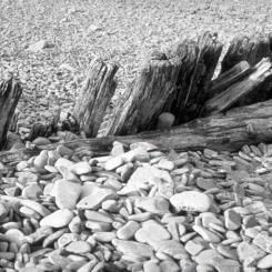 Wood and Pebbles on Beach
