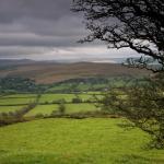 West Dartmoor View