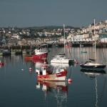 Outer Harbour - Brixham