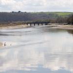 River Torridge Near Bideford