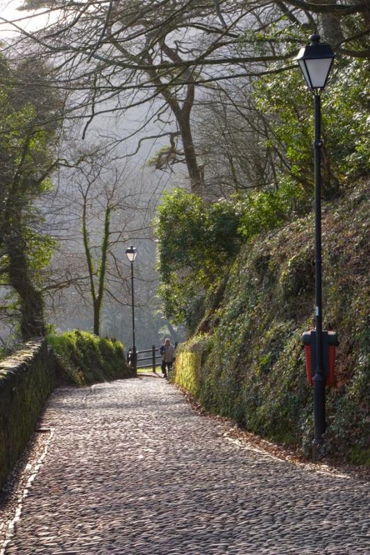 Path Down to Clovelly