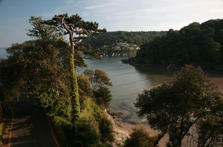 View to South Sands - Salcombe